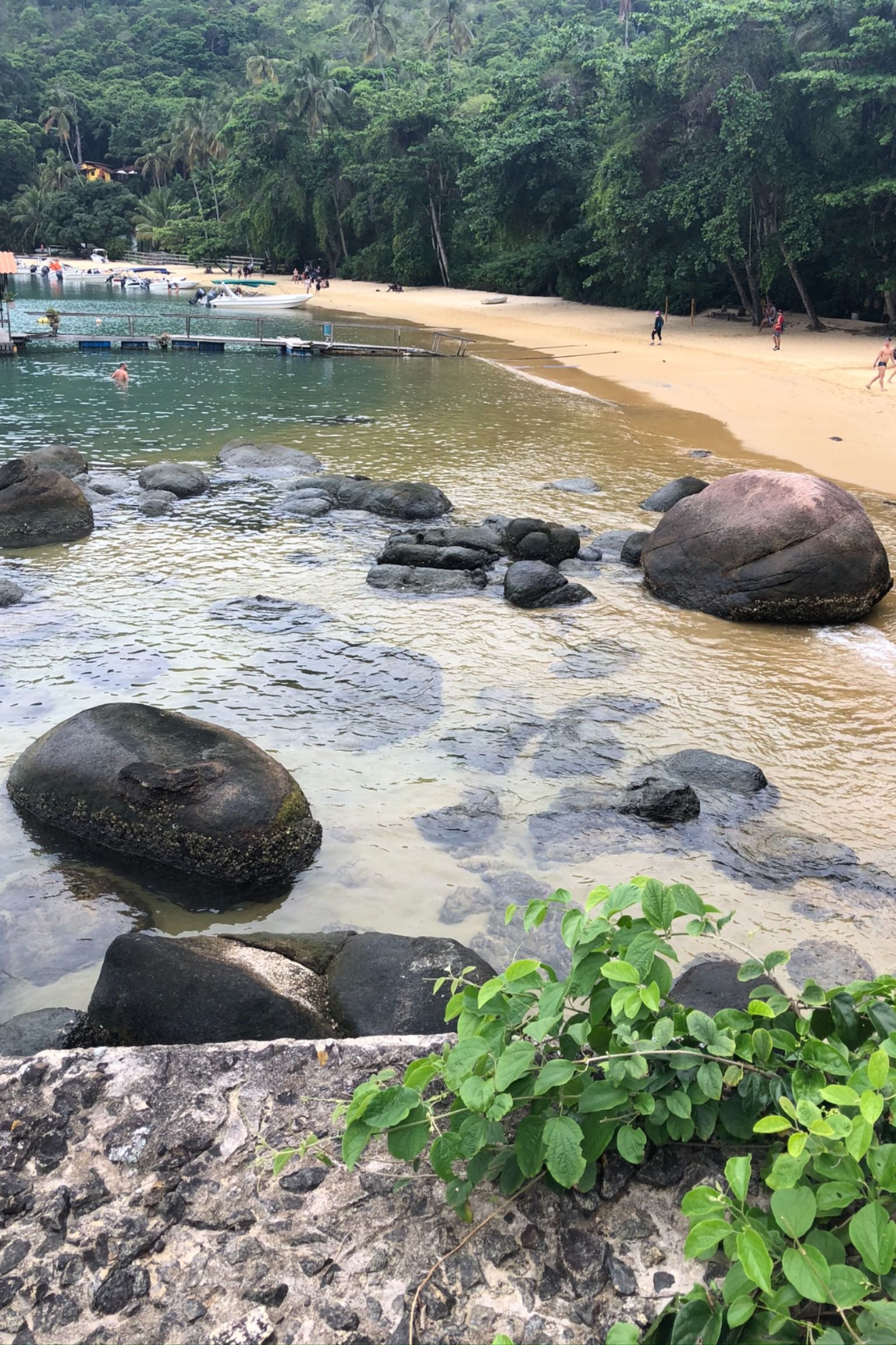 Um Paraíso chamado Ilha Grande - Fiquei apaixonada