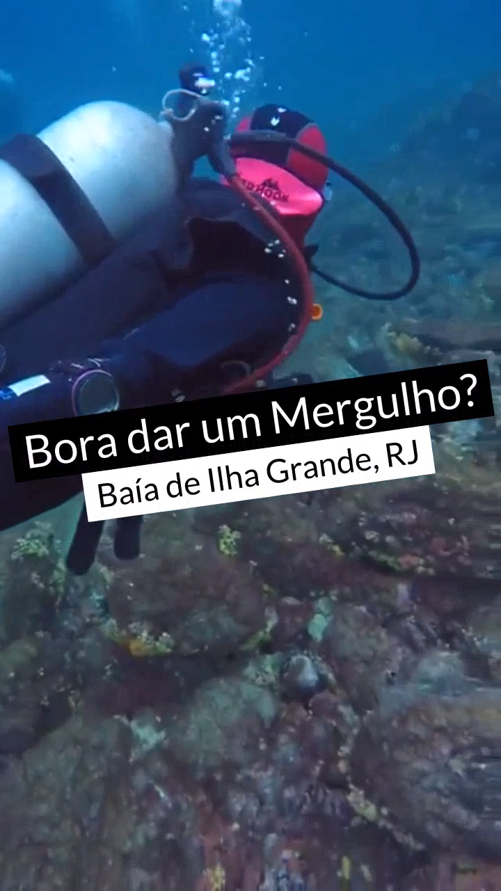 Mergulho em Ilha Grande, Rio de Janeiro