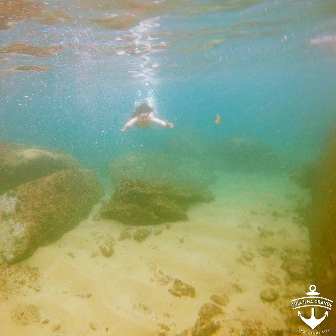 No meio da trilha ao lado da pousada vegetariana em Ilha Grande. Em breve os det...