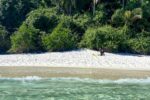 Ilha Grande