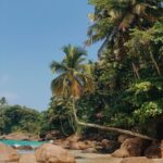 Aventureiro Ilha Grande RJ