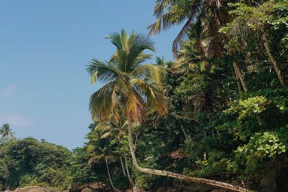 Aventureiro Ilha Grande RJ