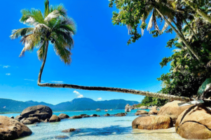 Ilha Grande Em Angra Dos Reis (Rj): Ecoturismo, Atrações E Mais