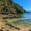 Lagoa Verde Ilha Grande