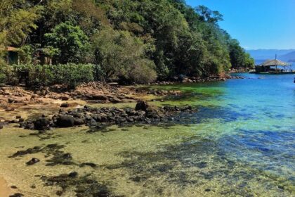 Lagoa Verde Ilha Grande