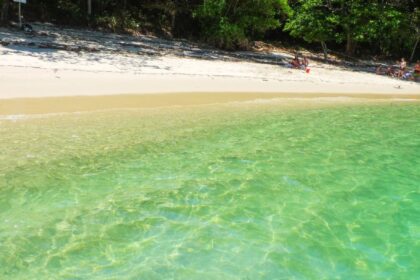 Grumixama Ilha Grande