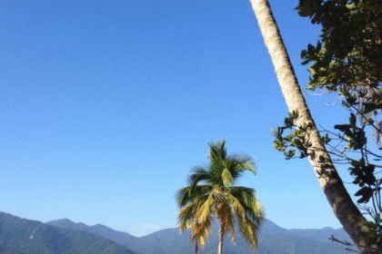 Guia De Viagem Ilha Grande Nosso Blog De Viagem