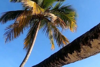 Aventureiro Ilha Grande