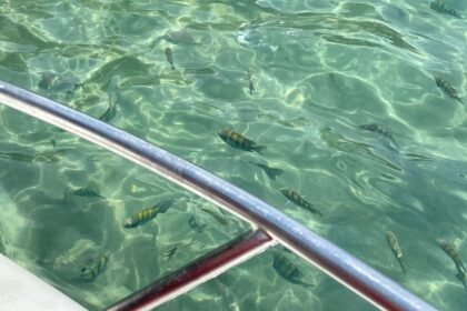 Lagoa Azul Ilha Grande Rio De Janeiro