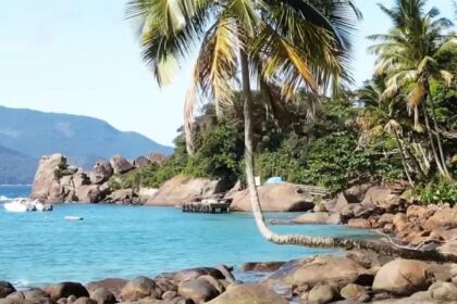 O Coqueiro Mais Famoso Do Brasil Fica Na Praia Do Aventureiro Na Ilha Grande