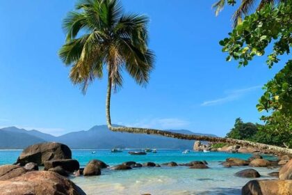 Praia Do Aventureiro Em Ilha Grande: Como Chegar E O Que Fazer