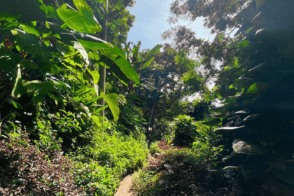Refúgio Na Natureza: Escape Do Estresse E Descubra Ilha Grande Em 4 Dias